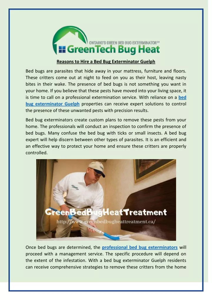 reasons to hire a bed bug exterminator guelph