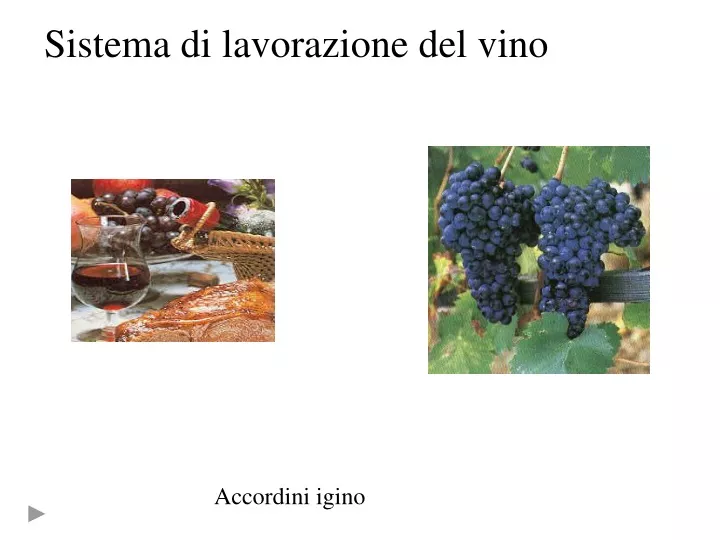 sistema di lavorazione del vino