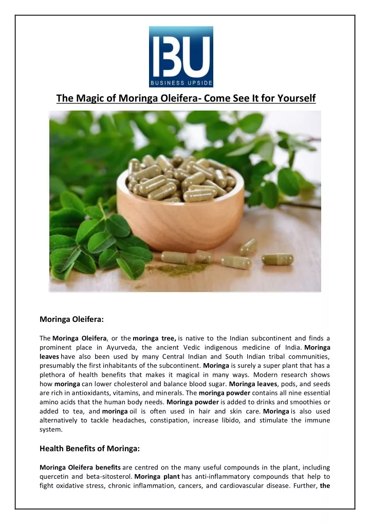 the magic of moringa oleifera come