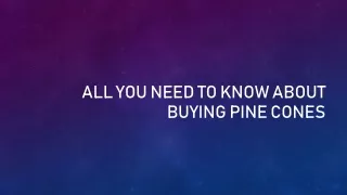 all you need to know about buying pine cones