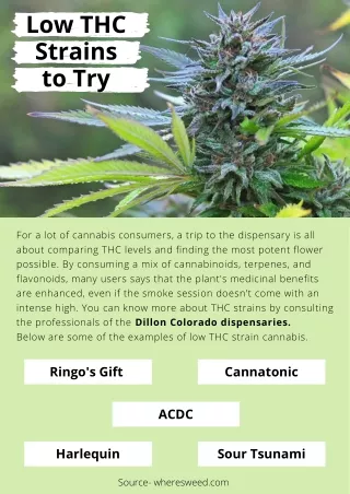 Low THC Strains to Try