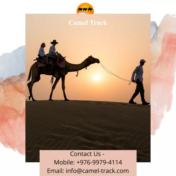 contact us mobile 976 9979 4114 email info@camel