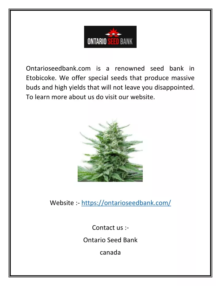 ontarioseedbank com is a renowned seed bank