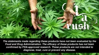 the statements made regarding these products have