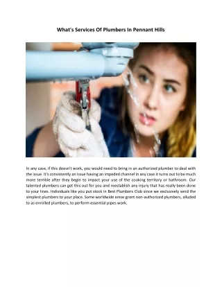 what s services of plumbers in pennant hills