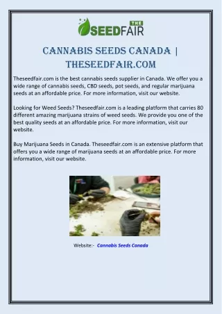 cannabis seeds canada theseedfair com
