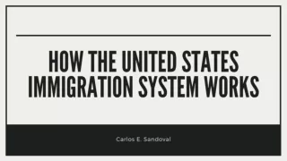 How the United States Immigration System Works