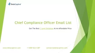 The Best Chief Compliance Officer Email List | Global B2B Contact Database