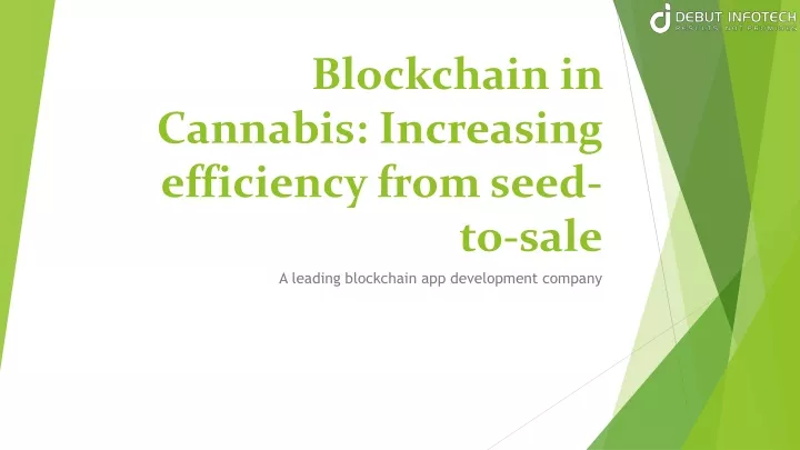 blockchain in cannabis increasing efficiency from seed to sale