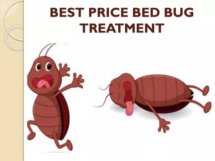 best price bed bug treatment