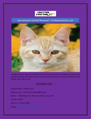 san antonio animal removal critterevictortx com
