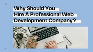 Top Reasons to Hire a Professional Web Development Company