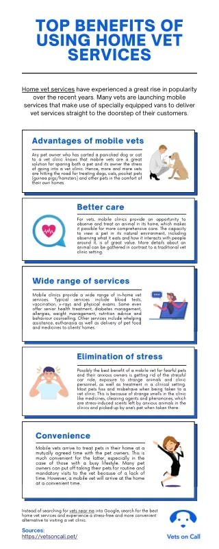 top benefits of using home vet services