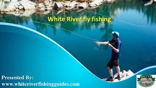 White River fly fishing