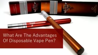 What Are The Advantages Of Disposable Vape Pen?