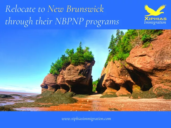 relocate to new brunswick through their nbpnp