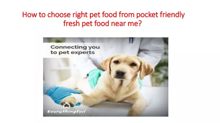 how to choose right pet food from pocket friendly fresh pet food near me