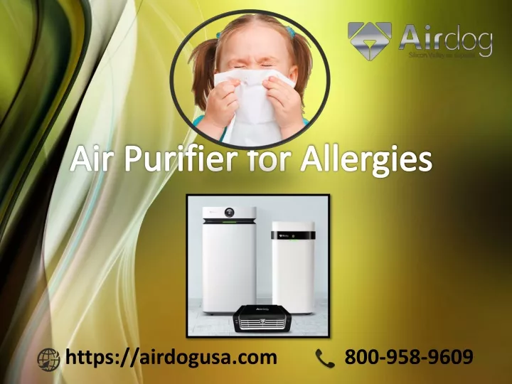 air purifier for allergies