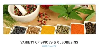 Variety Of Spices & Oleoresins - Herbs Village