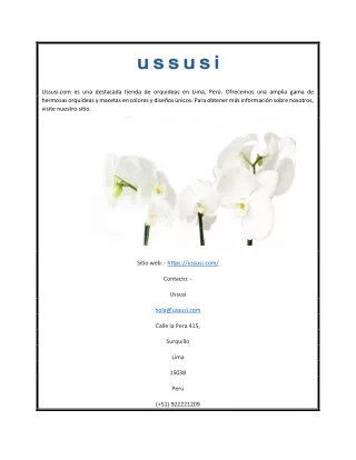 Orquideas en Lima | Ussusi.com