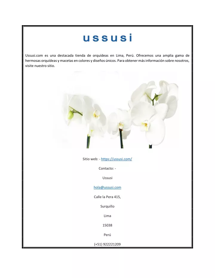 ussusi com es una destacada tienda de orqu deas