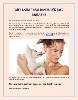 why does your dog have bad breath