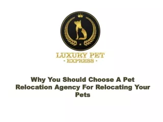 why you should choose a pet relocation agency
