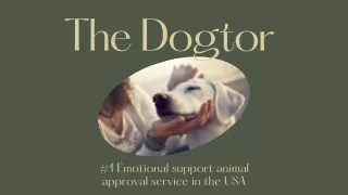 Emotional Support Dog Certification