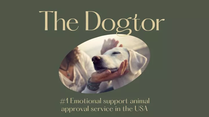 the dogtor