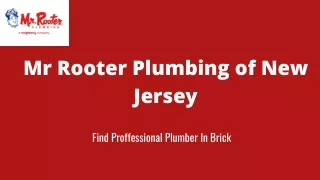 Find Professional plumber in Brick