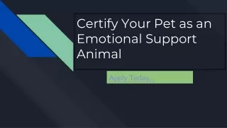 Emotional Support Animal Letter Texas - Fast ESA Letter