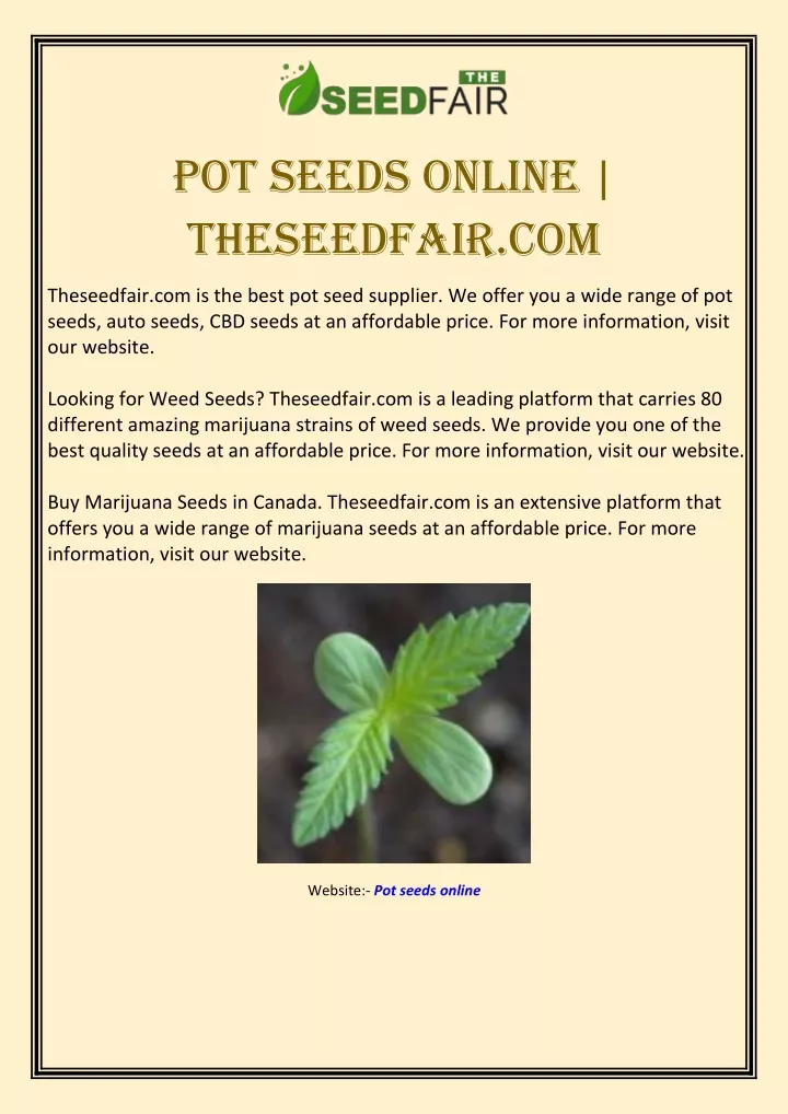 pot seeds online theseedfair com