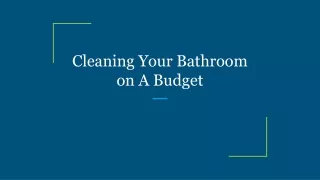cleaning your bathroom on a budget