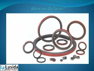 What are Oil Seals?