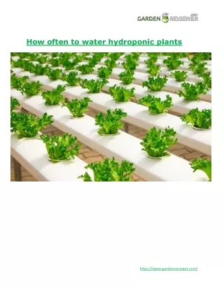 How often to water hydroponic plants