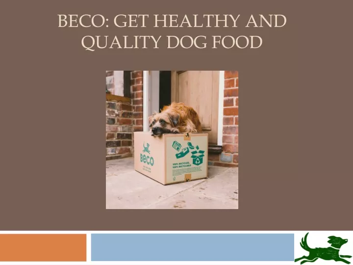 beco get healthy and quality dog food