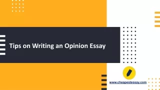 Tips on Writing an Opinion Essay