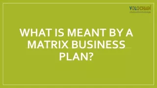 what is meant by a matrix business plan