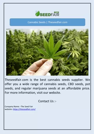 Cannabis Seeds | Theseedfair.com