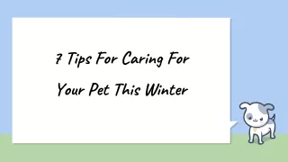 7 Tips For Caring For Your Pet This Winter