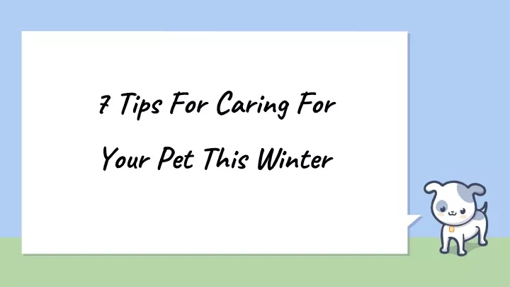 7 tips for caring for your pet this winter