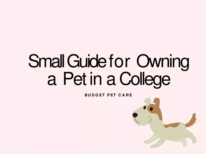 small guide for ow n ing a pet in a college b u d g e t p e t c a r e