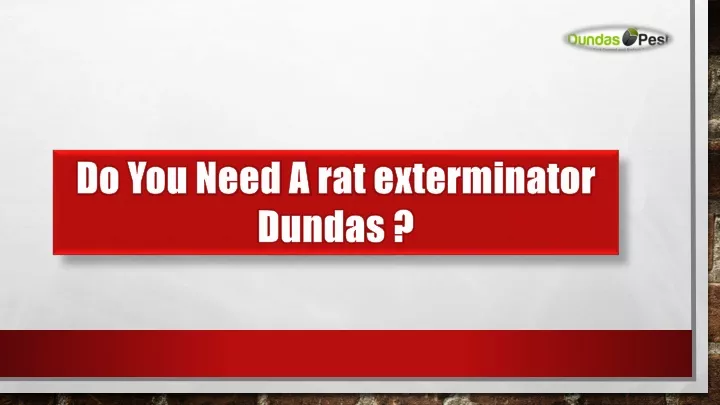 do you need a rat exterminator dundas