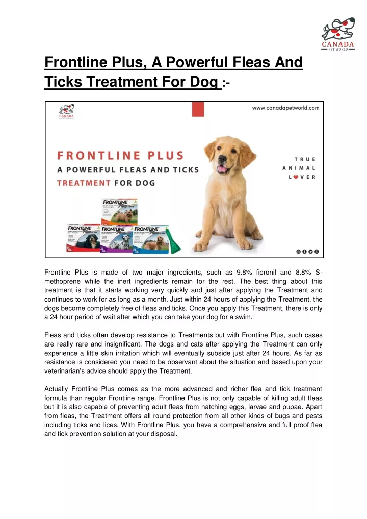 frontline plus a powerful fleas and ticks