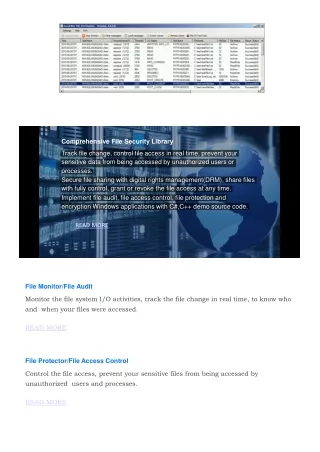 comprehensive file security library