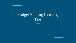 budget busting cleaning tips