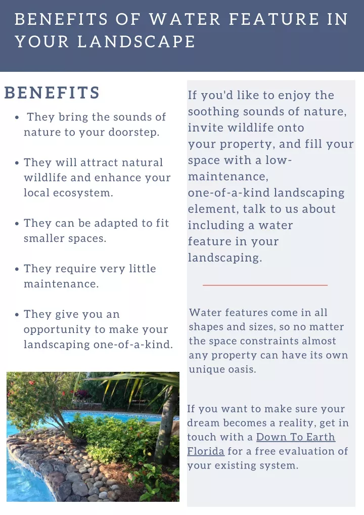 benefits of water feature in your landscape