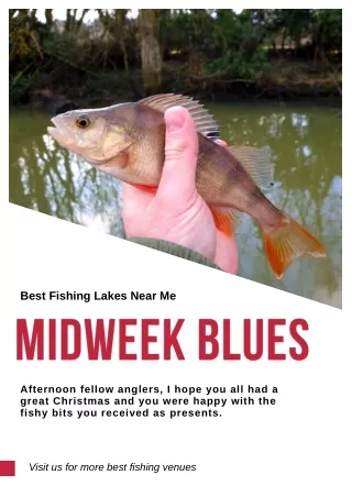 Midweek Blues - Check out the Best Fishing Lakes Near Me