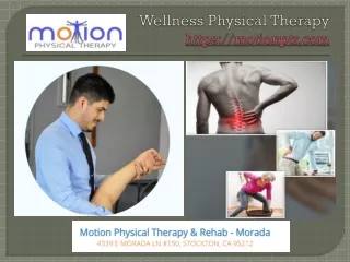 wellness physical therapy https motionptr com