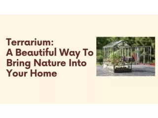 Terrarium A Beautiful Way to Bring Nature Into Your Home
